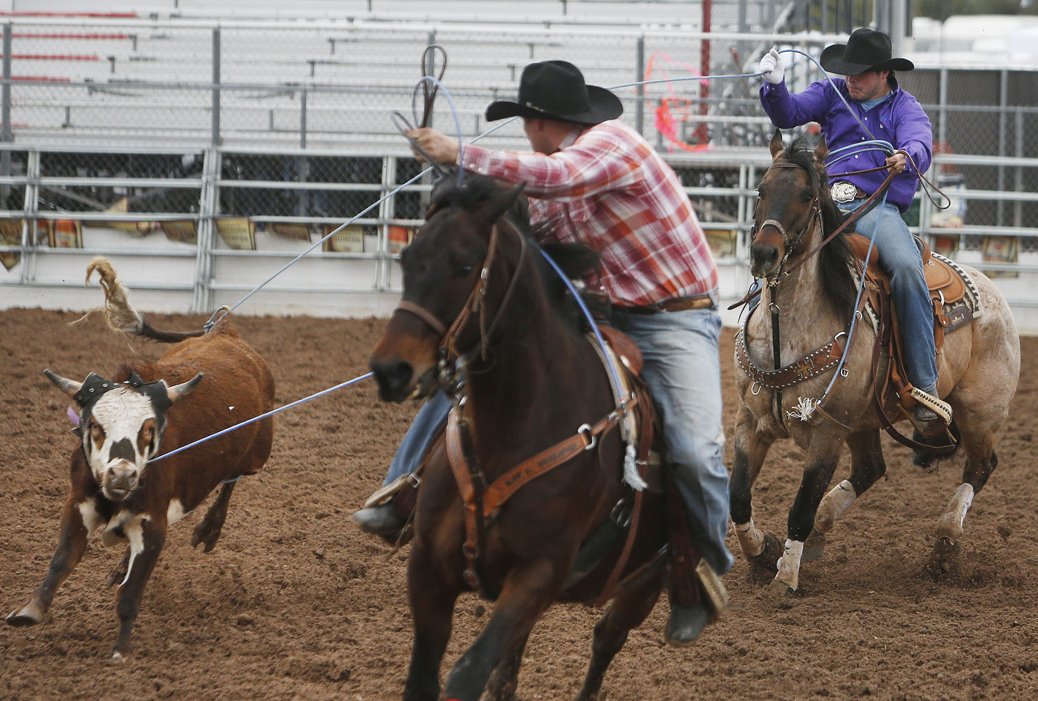 La Fiesta de los Vaqueros